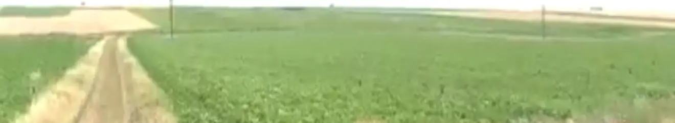 A wide field and farm track, SHER Company